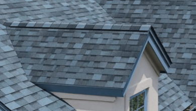 Expensive Shingles: A Comprehensive Guide
